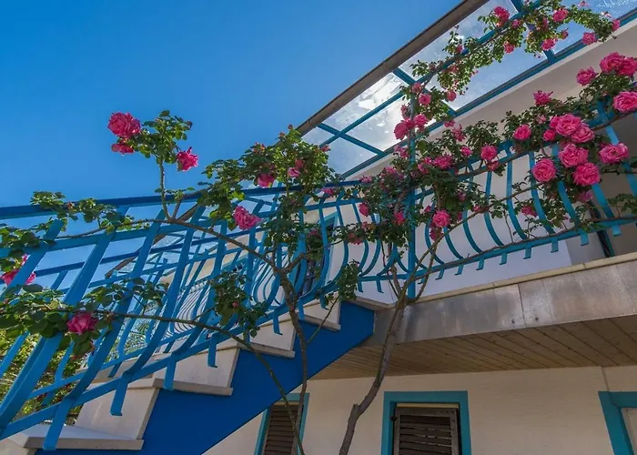 Guest house Kiki Spada 3*